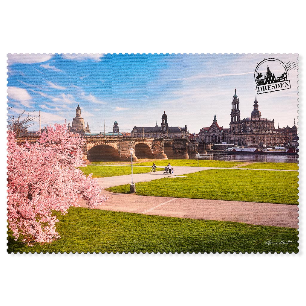 Kirschblüte an den Elbwiesen mit Blick auf Dresdens Altstadt Dresden Postkarte Kirschblüte mit Altstadt-Silhouette und Augustusbrücke
