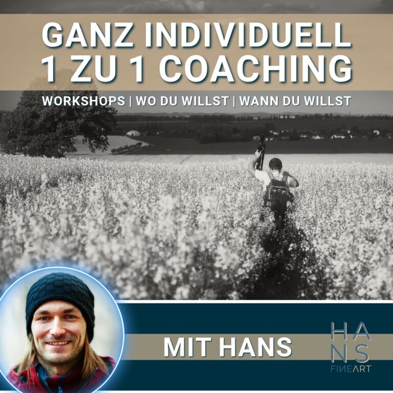 Individual Workshop 1 zu 1 Hans Fineart