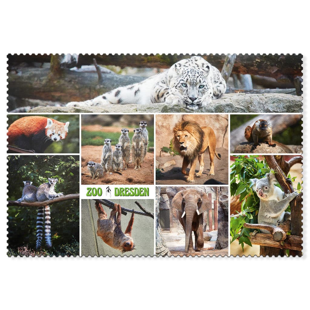 Zoo Dresden Postkarte cd002 Hans Fineart