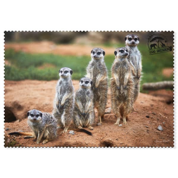 Zoo Dresden Postkarte cd005 Hans Fineart
