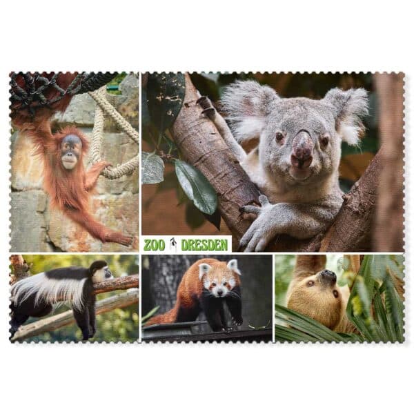 Zoo Dresden Postkarte cd007 Hans Fineart