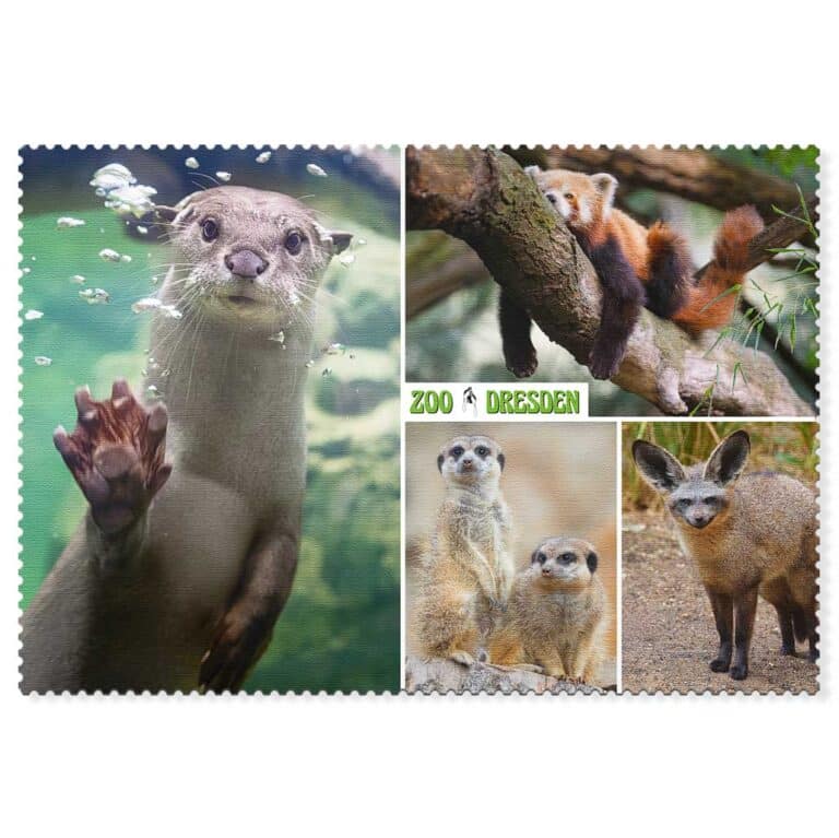 Fischotter mit Rotem Panda und Erdmännchen auf einer Zoo Dresden Postkarte