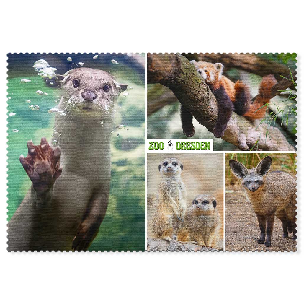 Zoo Dresden Postkarte – Fischotter und Tiermotive Fischotter mit Rotem Panda und Erdmännchen auf einer Zoo Dresden Postkarte