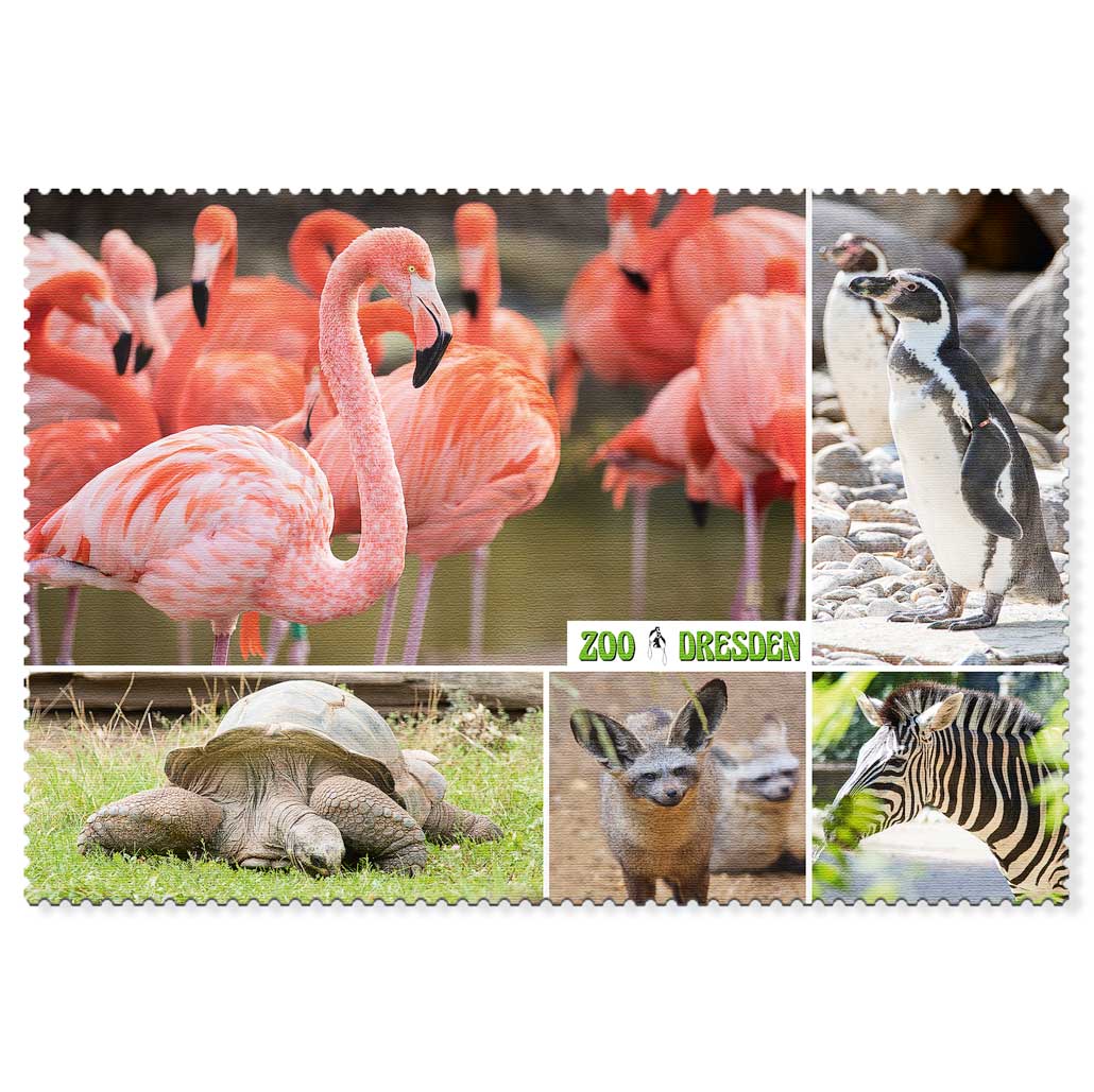 Zoo Dresden Postkarte – Flamingos und Tiermotive Flamingos mit Pinguin, Riesenschildkröte und Zebra auf einer Zoo Dresden Postkarte