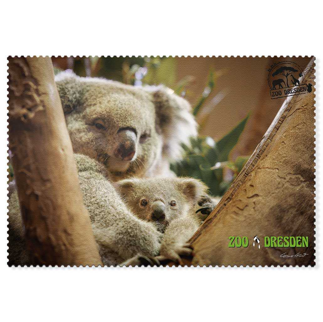 Zoo Dresden Postkarte – Koala mit Jungtier Koala mit Jungtier auf einer Postkarte aus dem Zoo Dresden