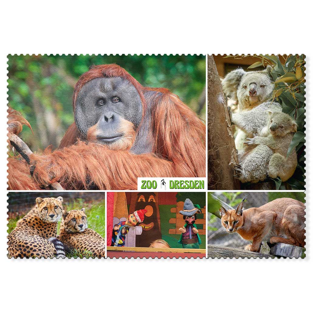 Zoo Dresden Postkarte – Orang-Utan und Tiermotive Orang-Utan und weitere Tiermotive auf einer Postkarte aus dem Zoo Dresden