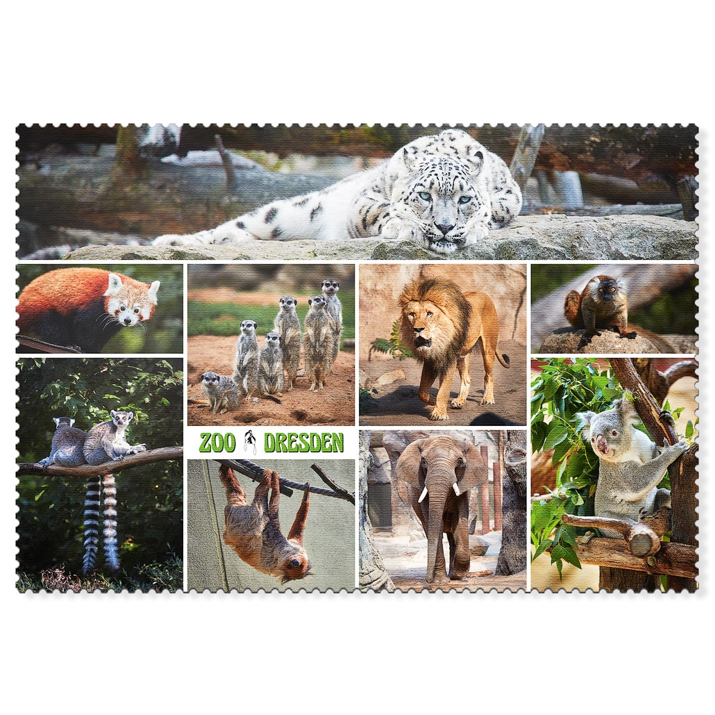 Zoo Dresden Postkarte – Schneeleopard und Tiercollage Tiercollage aus dem Zoo Dresden mit Schneeleopard, Löwe und Koala