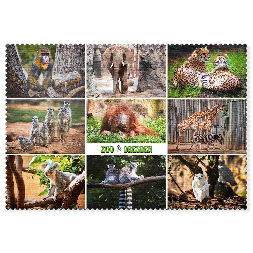 Zoo Dresden Postkarte – Tiercollage Tiercollage aus dem Zoo Dresden mit Elefant, Geparden und Erdmännchen