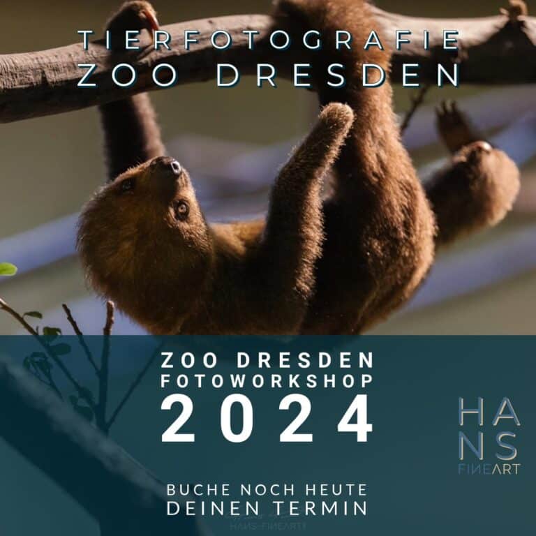 Workshop Tierfotografie im Zoo Dresden Hans Fineart