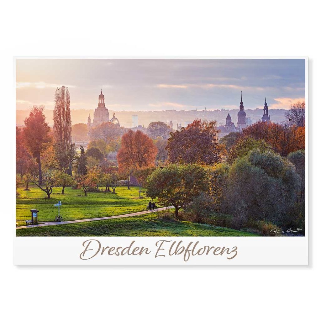 Dresden Postkarte lui014