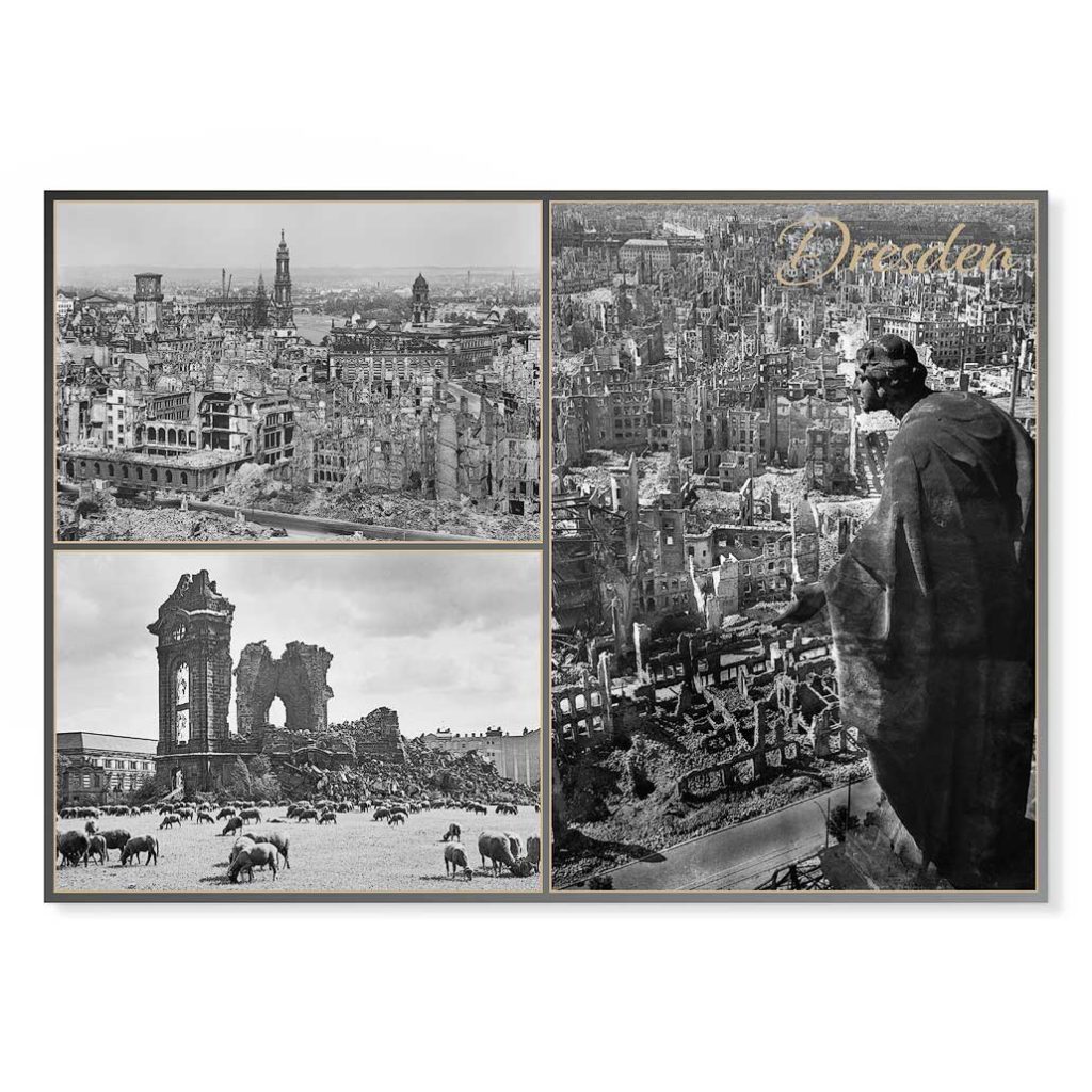 Dresden Postkarte lui032