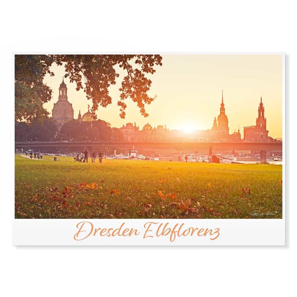 Dresden Postkarte lui036