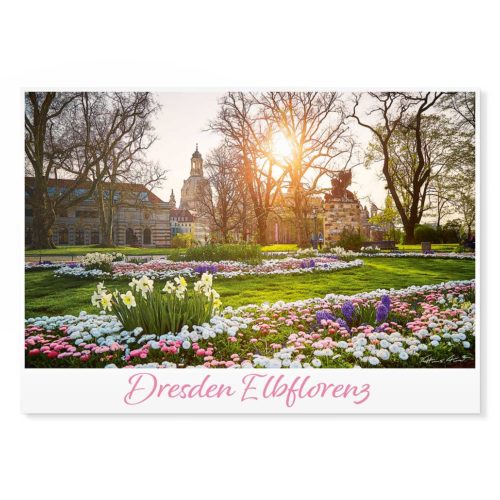 Dresden Postkarte lui050 Hans Fineart