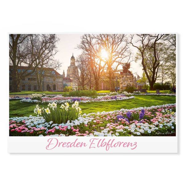 Dresden Postkarte lui050 Hans Fineart