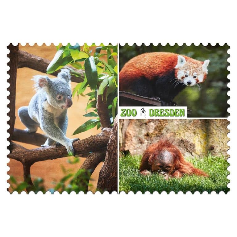 Zoo Dresden Magnet mp003