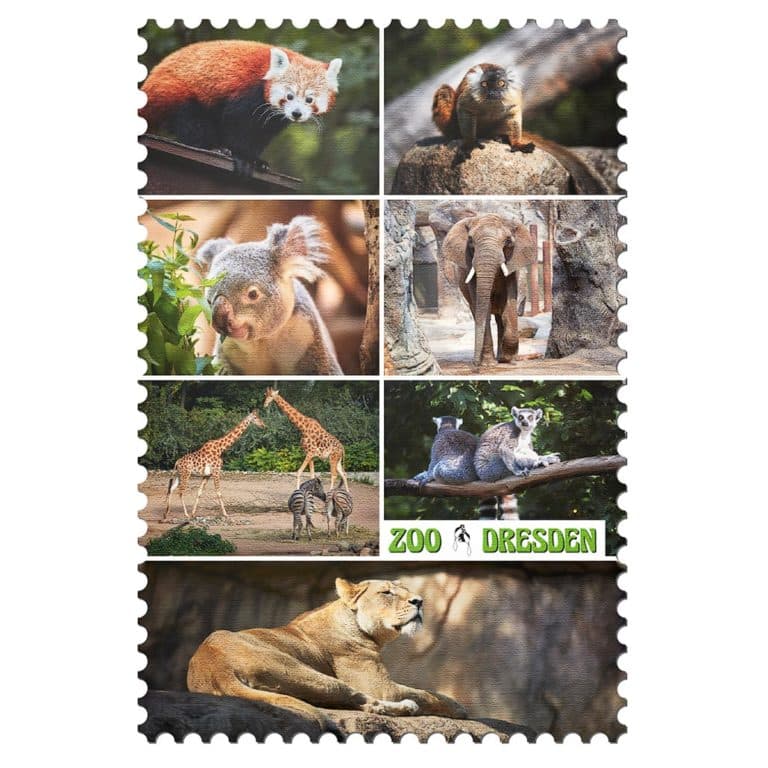 Zoo Dresden Magnet mp004