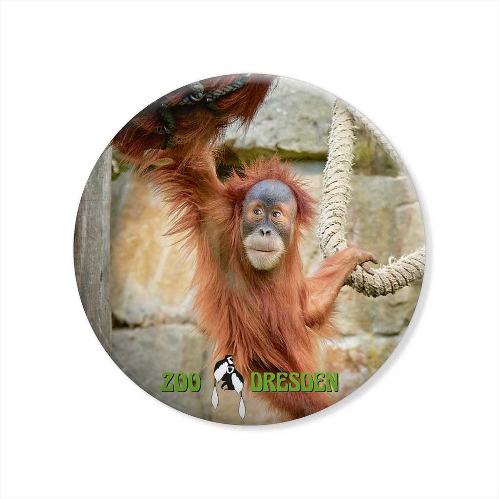 Zoo Dresden Magnet bhm-z014