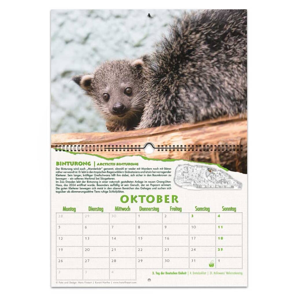 Binturong Jungtier im Geäst des Orang-Utan-Hauses