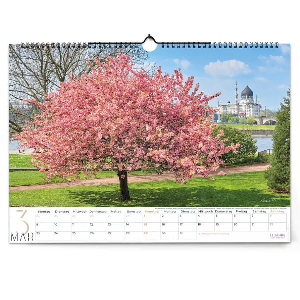 Kirschblüte vorm Japanischen Palais mit Yenidze im Hintergrund
