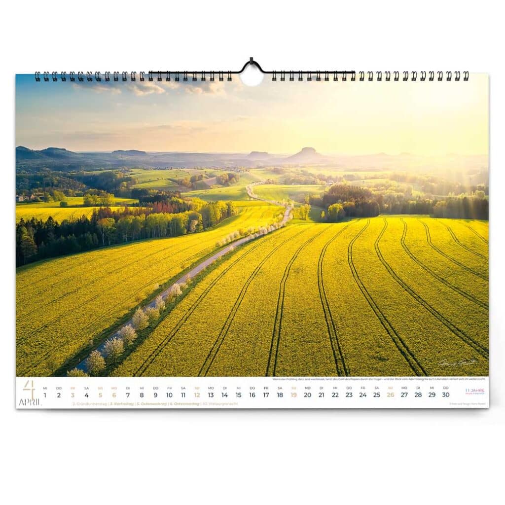 Kirschallee mit Rapsfeld und Fernblick auf den Lilienstein - Wandkalender Sächsische Schweiz