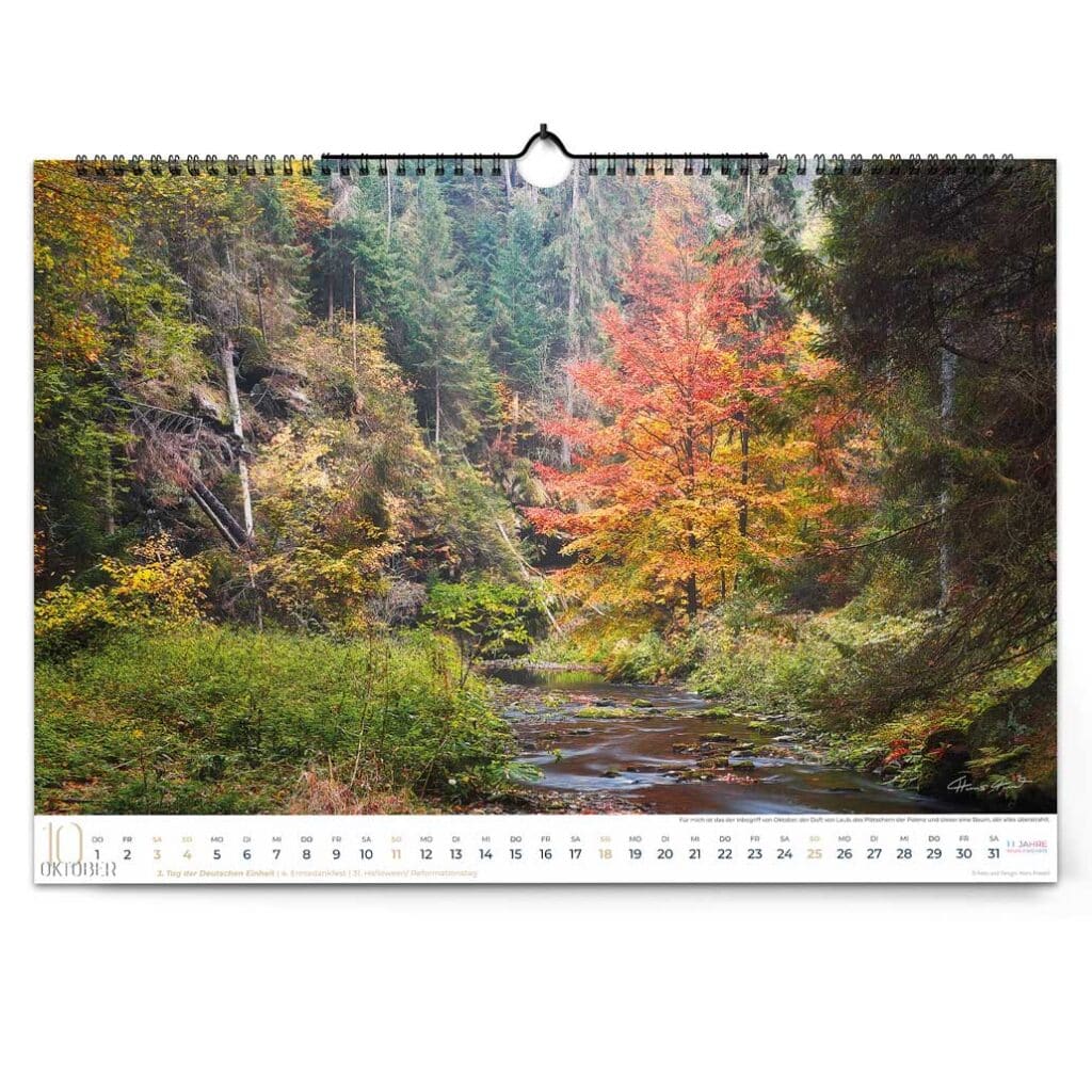 Herbstwald im Polenztal mit leuchtendem Laub