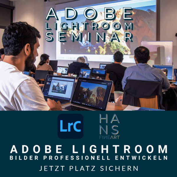 Teilnehmer des Adobe Lightroom Kurses Dresden bearbeiten Bilder in Lightroom Classic während eines Seminars in Bad Schandau.